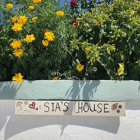 Apartment Sias House