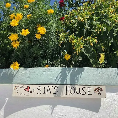 Apartment Sias House